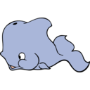 Cute Whale