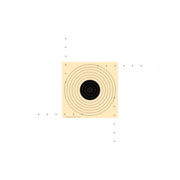 Bersaglio Pistola 25 50m