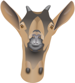 Goat Head