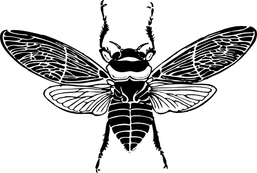 Bee Top View