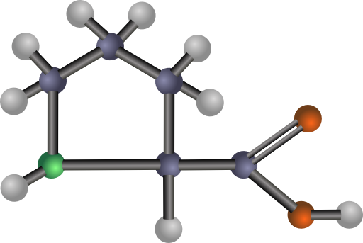 Proline Amino Acid