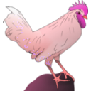 download Chicken clipart image with 315 hue color