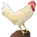 download Chicken clipart image with 0 hue color