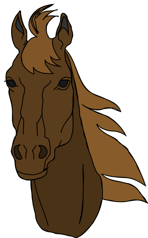Architetto Cavallo 17