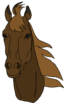 Architetto Cavallo 17