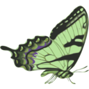 download Butterfly Papilio Turnus Side View clipart image with 45 hue color