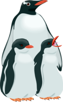 Architetto Pinguino 3