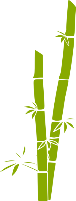 Bamboo