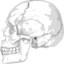 download Human Skull Side View clipart image with 90 hue color
