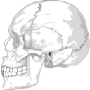 download Human Skull Side View clipart image with 135 hue color