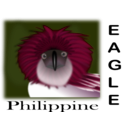 download Philippine Eagle clipart image with 315 hue color