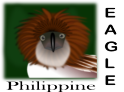 Philippine Eagle