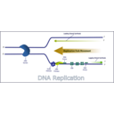 download Dna Replication clipart image with 45 hue color