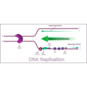 download Dna Replication clipart image with 135 hue color