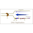 download Dna Replication clipart image with 225 hue color