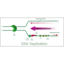 download Dna Replication clipart image with 315 hue color