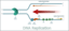 Dna Replication
