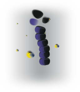 Microtubule