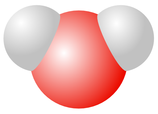 Water Molecule