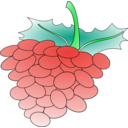 download Grapes 01 clipart image with 90 hue color
