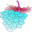 download Grapes 01 clipart image with 270 hue color