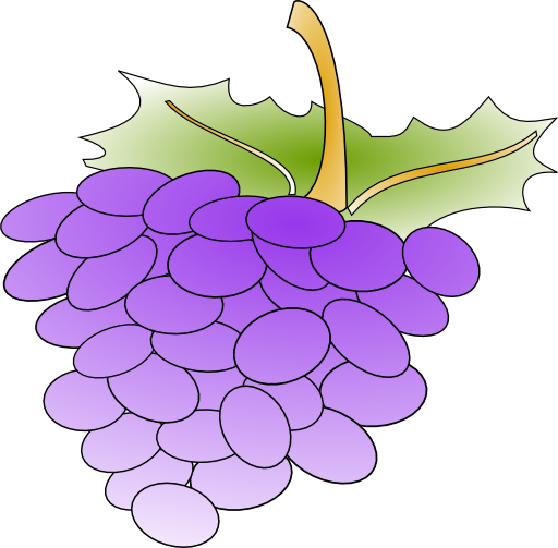 Grapes 01