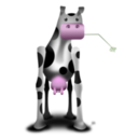 Odd Cow