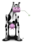 Odd Cow