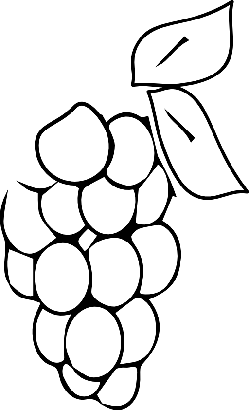 Grapes Icon