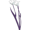 download Calochortus Apiculatus clipart image with 135 hue color