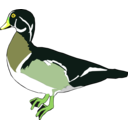 download Duck clipart image with 45 hue color