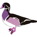 download Duck clipart image with 270 hue color