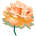 download Rose clipart image with 45 hue color