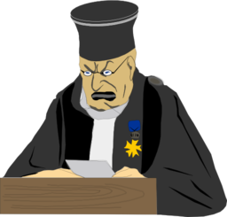 The Judge