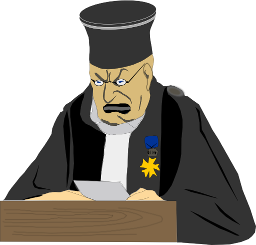 The Judge