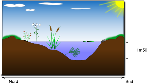 Mare Naturelle Natural Pond
