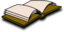 Book Icon