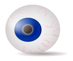 Eyeball Blue Realistic