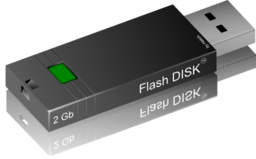 Flash Disk