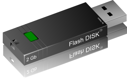 Flash Disk