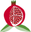 Pomegranate Fruit