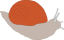 Snail1