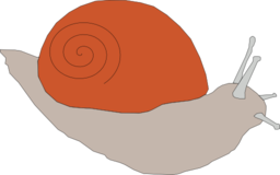 Snail1