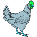 download Chicken clipart image with 135 hue color