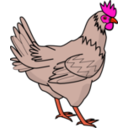 download Chicken clipart image with 315 hue color