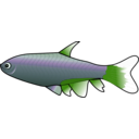 download Bloodfin Tetra clipart image with 90 hue color