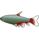 download Bloodfin Tetra clipart image with 0 hue color