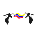 Condor Colombiano