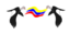 Condor Colombiano