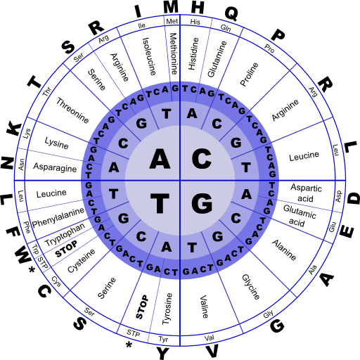 Genetic Code